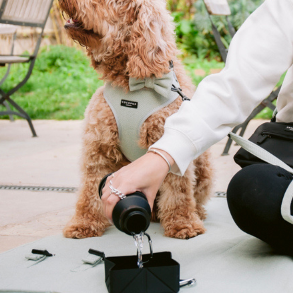 Model pouring water from the Cocopup Black Water Bottle into the Cocopup Black Foldable Travel Bowl.