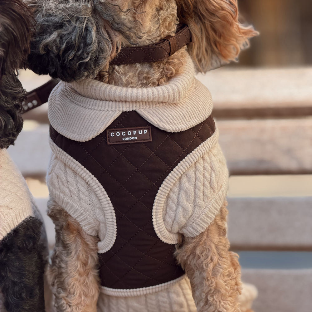 How Should A Dog Harness Fit?