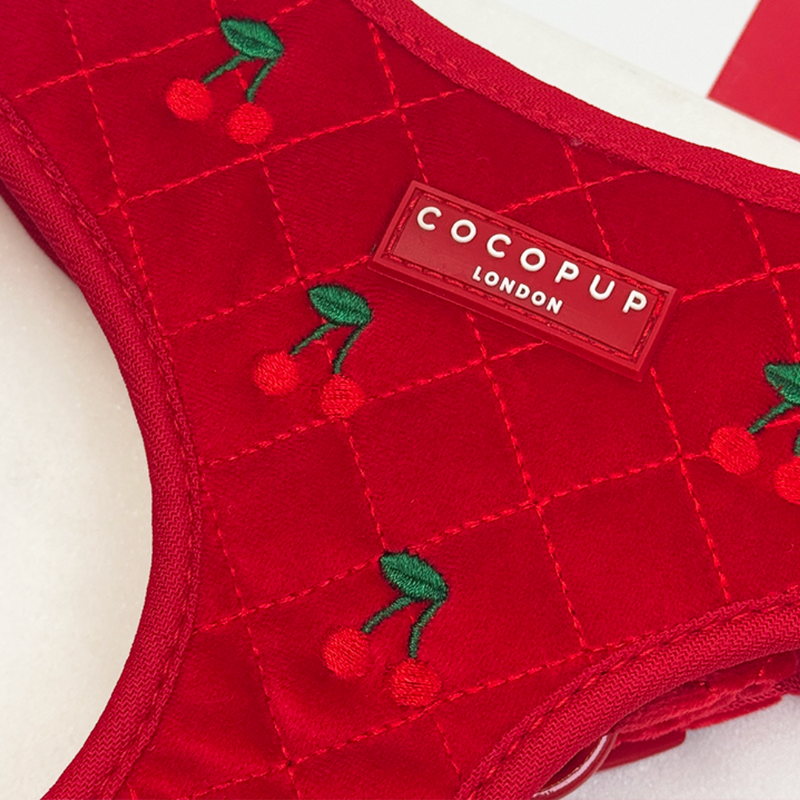 Cherry Velvet Crush Dog Accessories
