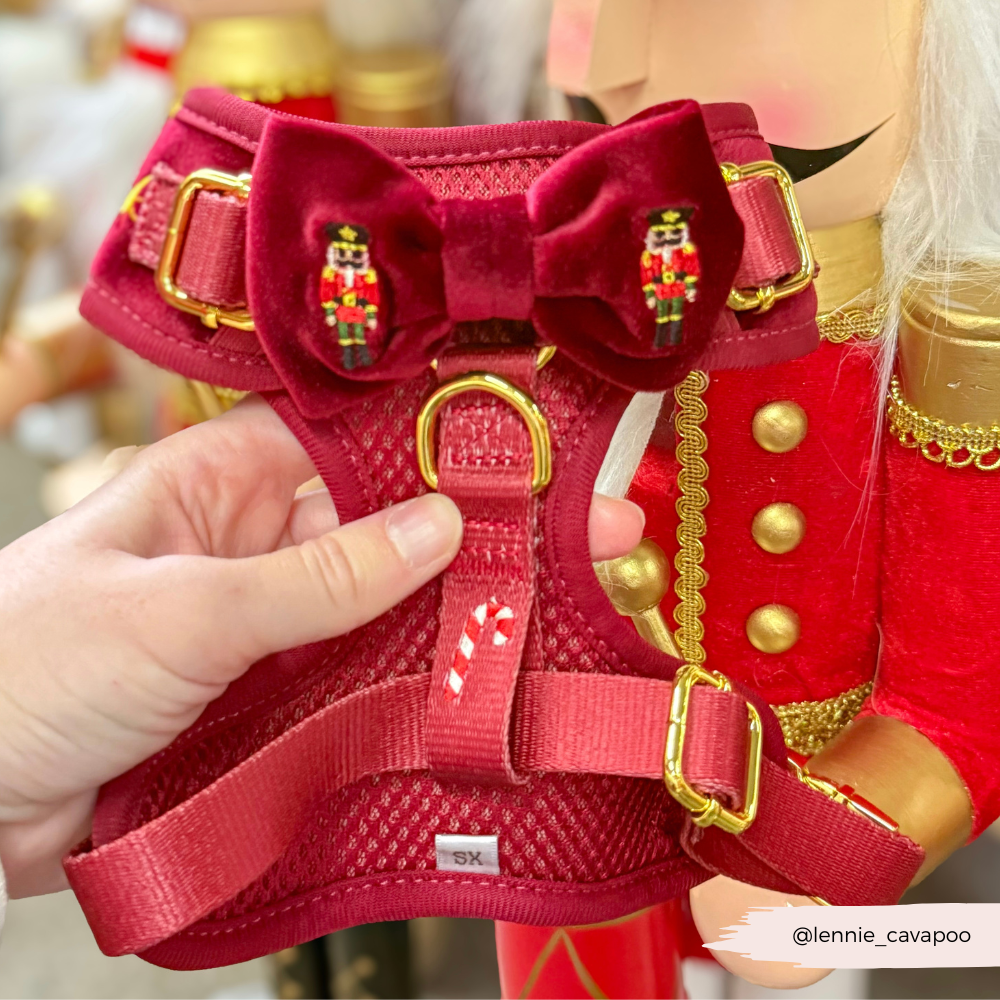 The Muttcracker Adjustable Neck Harness, Lead & Collar Bundle