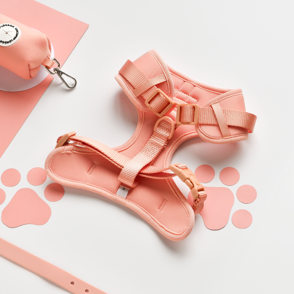 NAKD Adjustable Neck Harness - Peach Floof