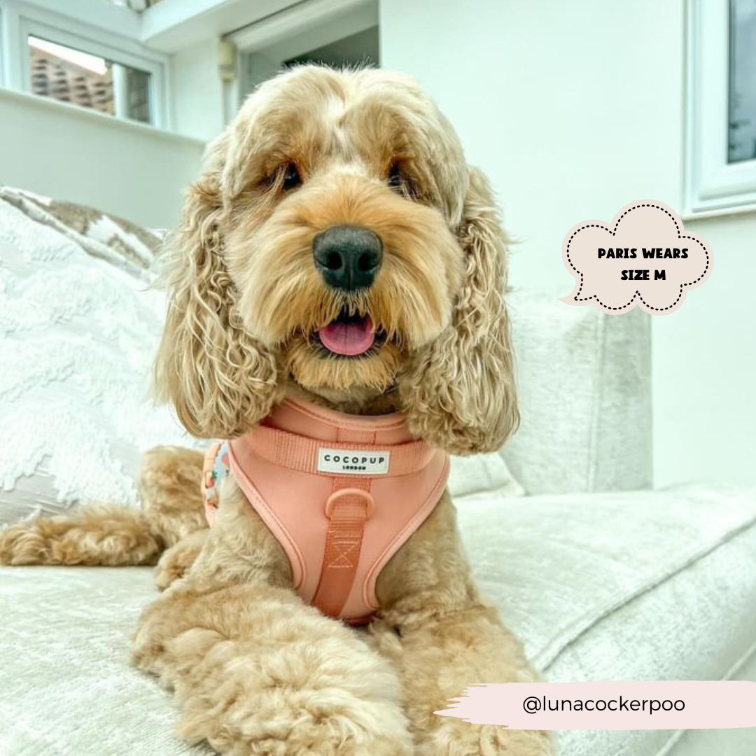 NAKD Adjustable Neck Harness - Peach Floof