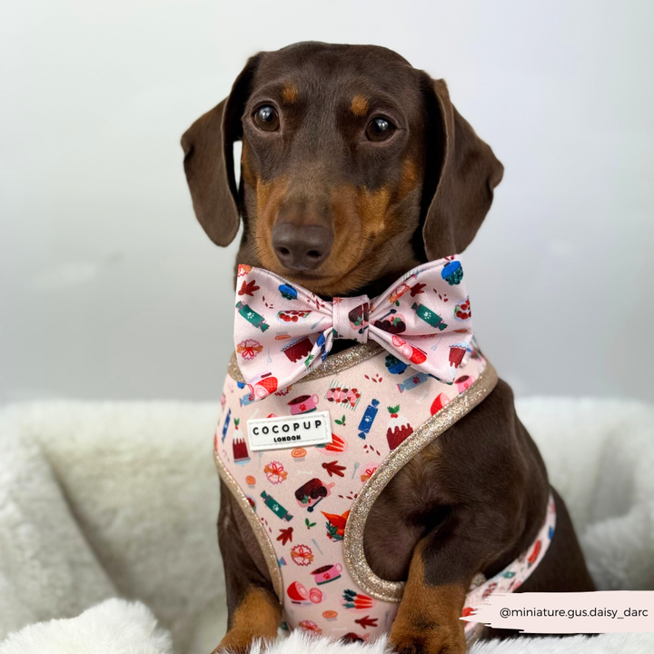 Cracking Christmas Dinner Bow Tie