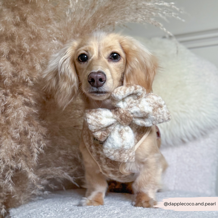 Highland Fleece Sailor Bow Tie - Oatmeal