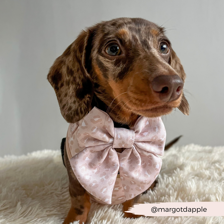 Nude Chic Leopard Sailor Bow Tie