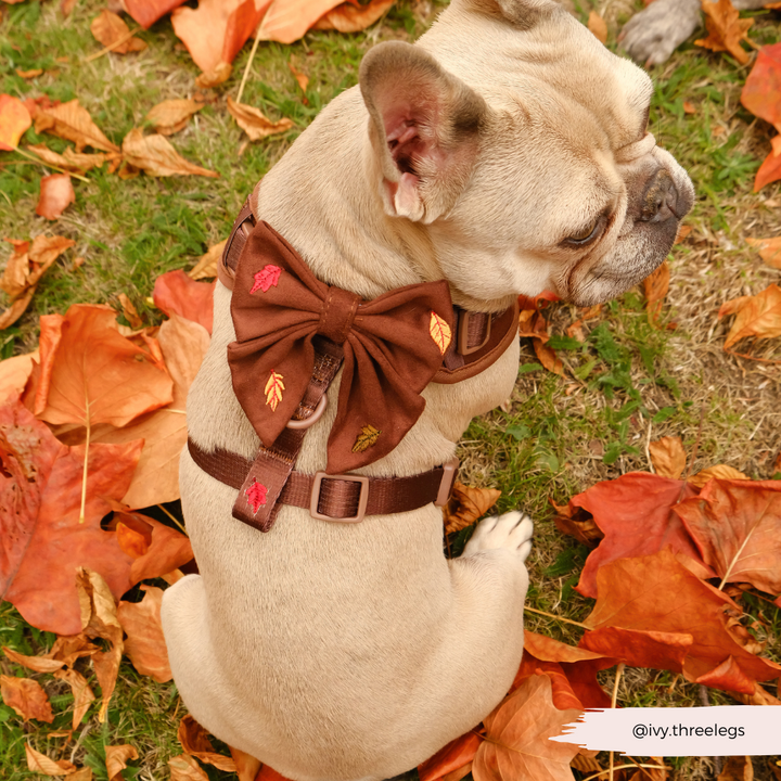 Pawtumn Leaves Sailor Bow Tie