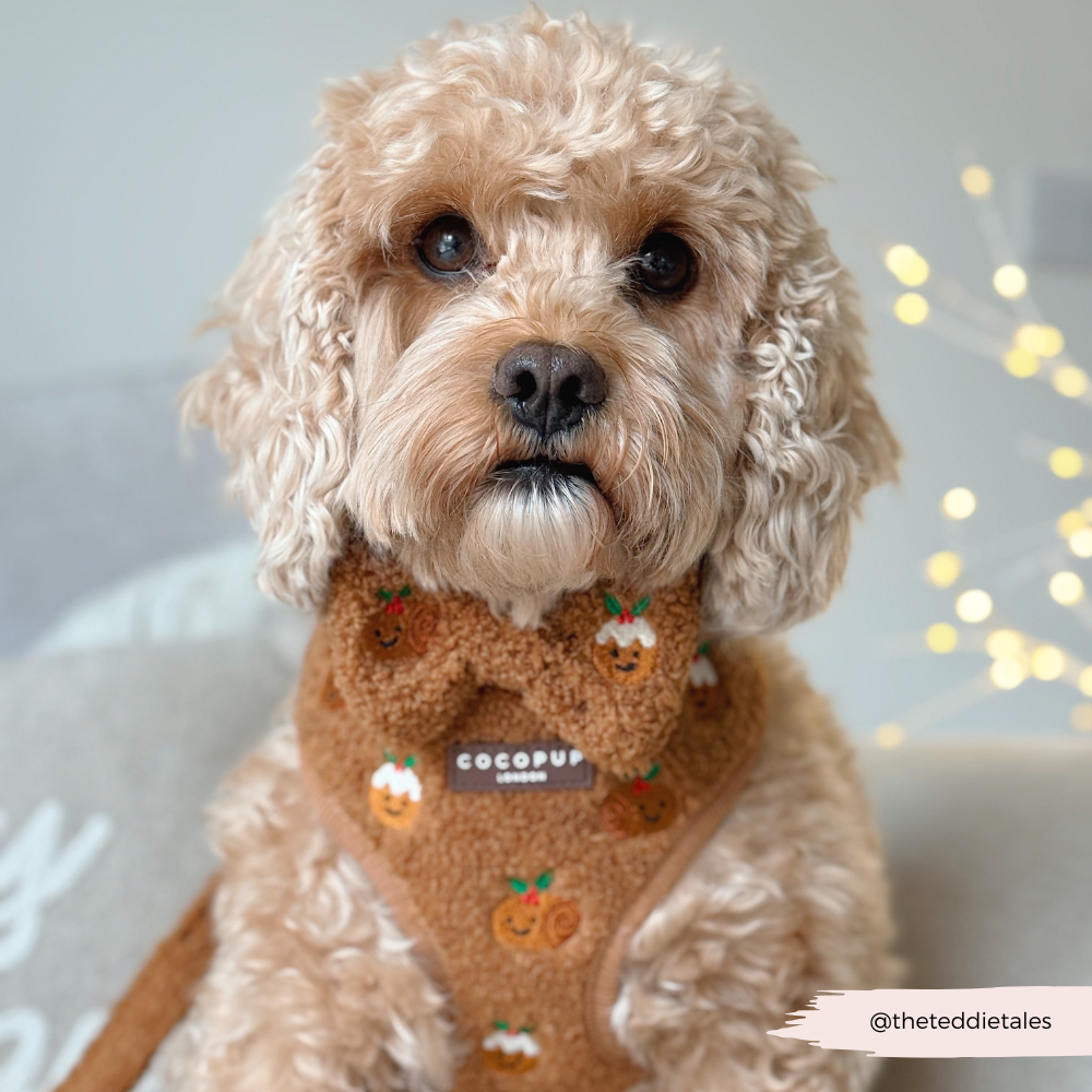Festive Pudding Pup Bow Tie