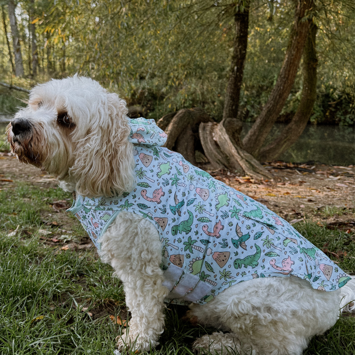 Dog Raincoat - Dinopaws