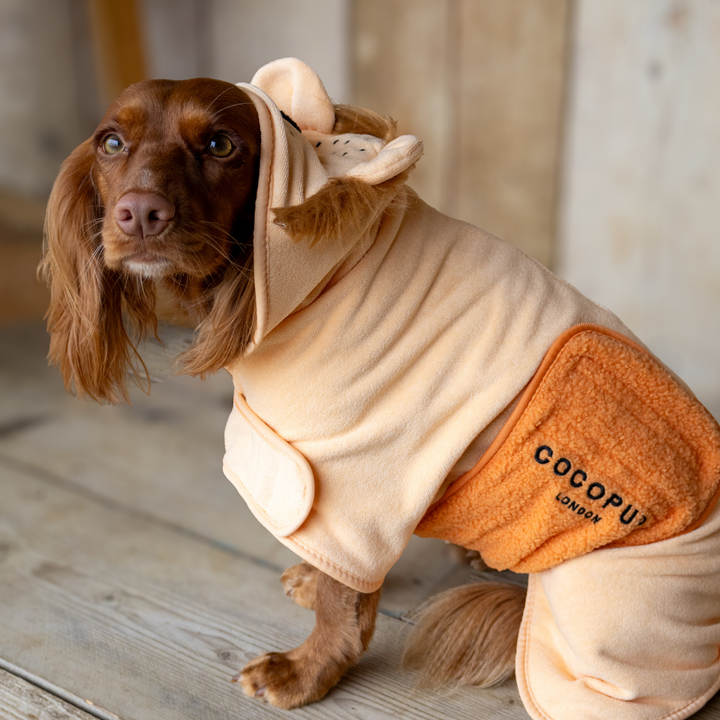 Roary the Lion Drying Robe