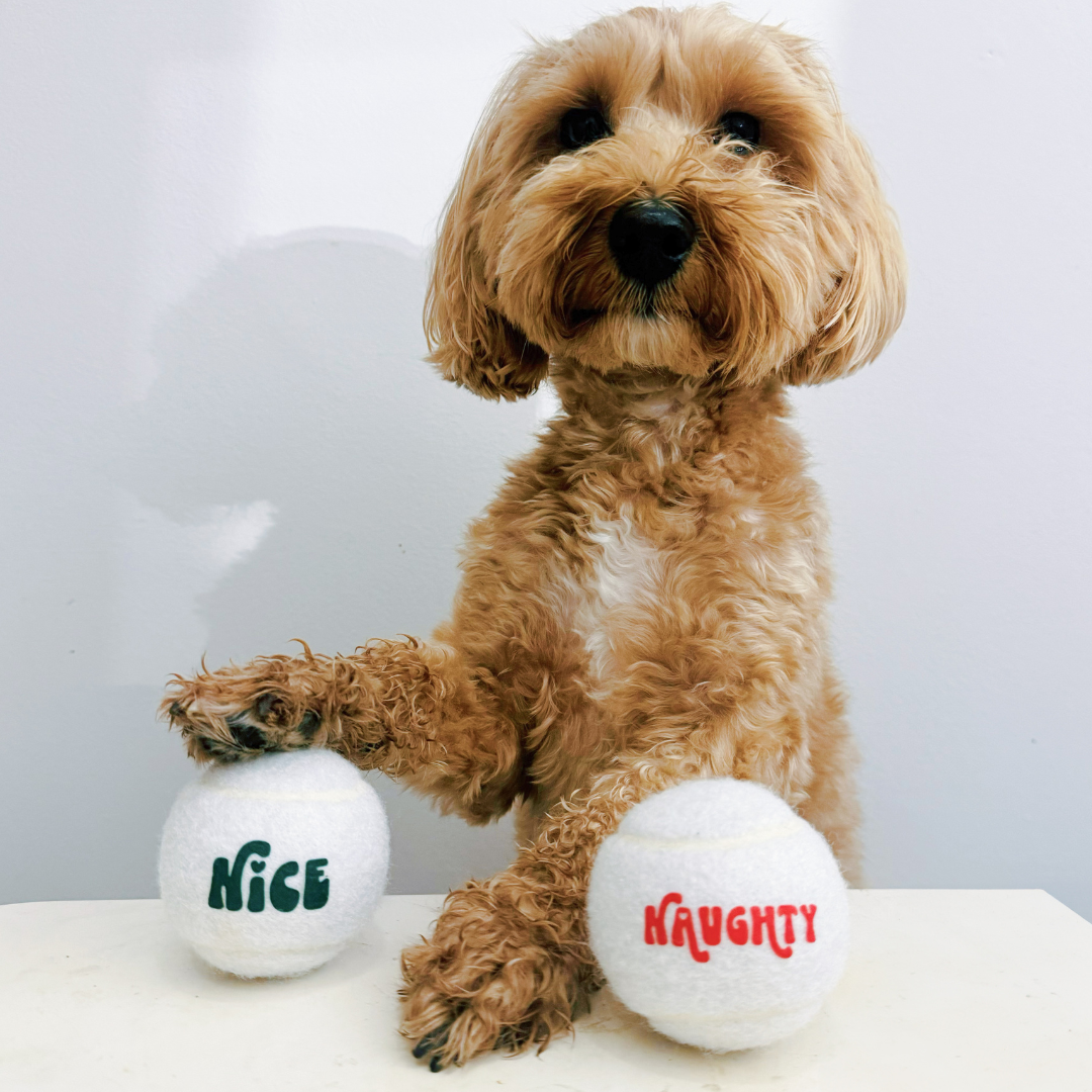 Christmas Tennis Ball Bundle - Red & Green, Naughty and Nice