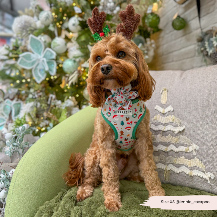 Christmas Pawty Collar Flower