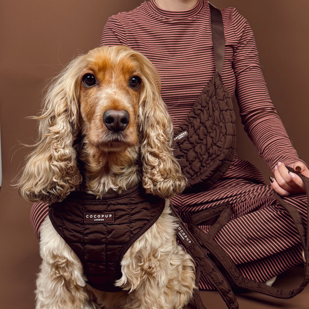 Espresso Quilted Adjustable Neck HARNESS