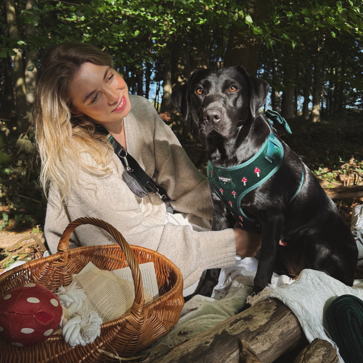 Toadstool Trails Adjustable Neck HARNESS