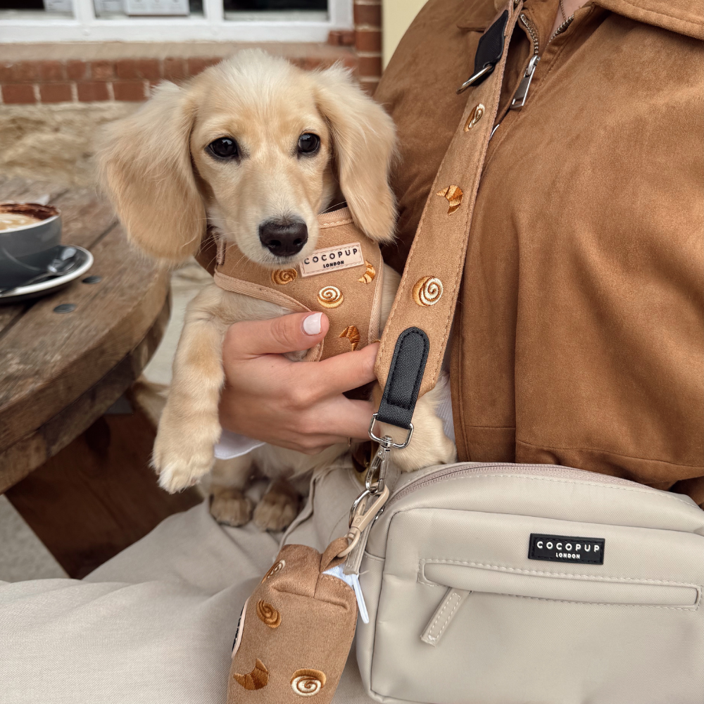 Pawtisserie Adjustable Neck HARNESS