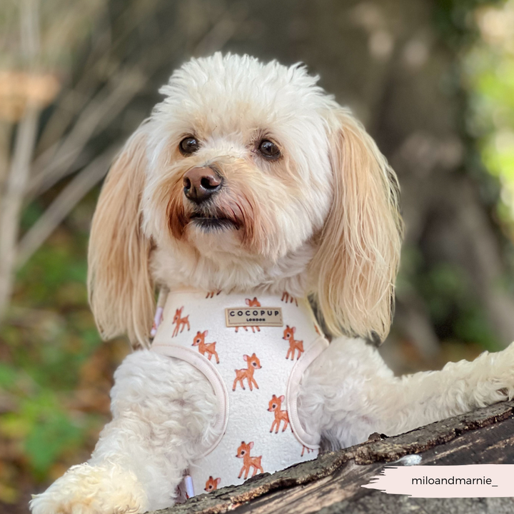 Fleecy Fawn Adjustable Neck HARNESS