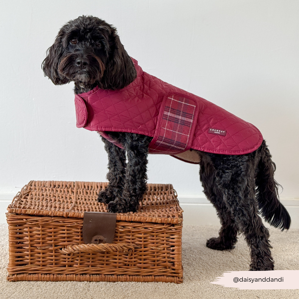 PERSONALISED Quilted Dog Coat - Mulberry Plaid