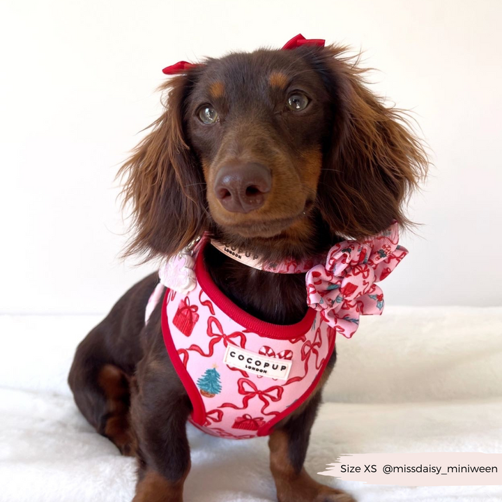 Pupmas Kisses Collar Flower