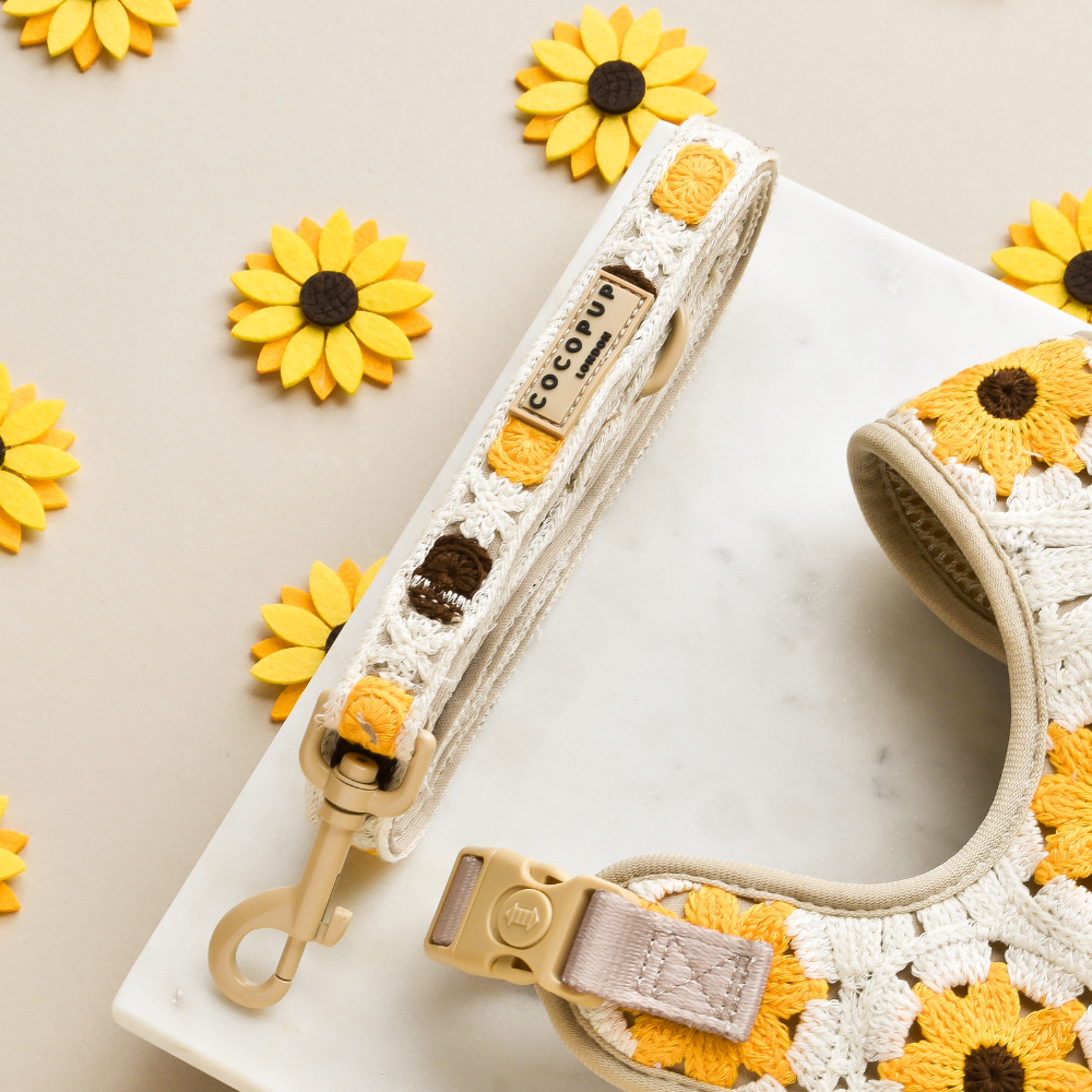 On a marble surface, the Sunflower Patch Adjustable Neck Harness, Lead & Collar Bundle from Cocopup London is displayed, showcasing its crochet sunflower patterns in yellow, white, and brown. Surrounding the adjustable neck harness are felt sunflower cutouts that contribute to the bright and cheerful floral theme, making it perfect for sunny dog walks.