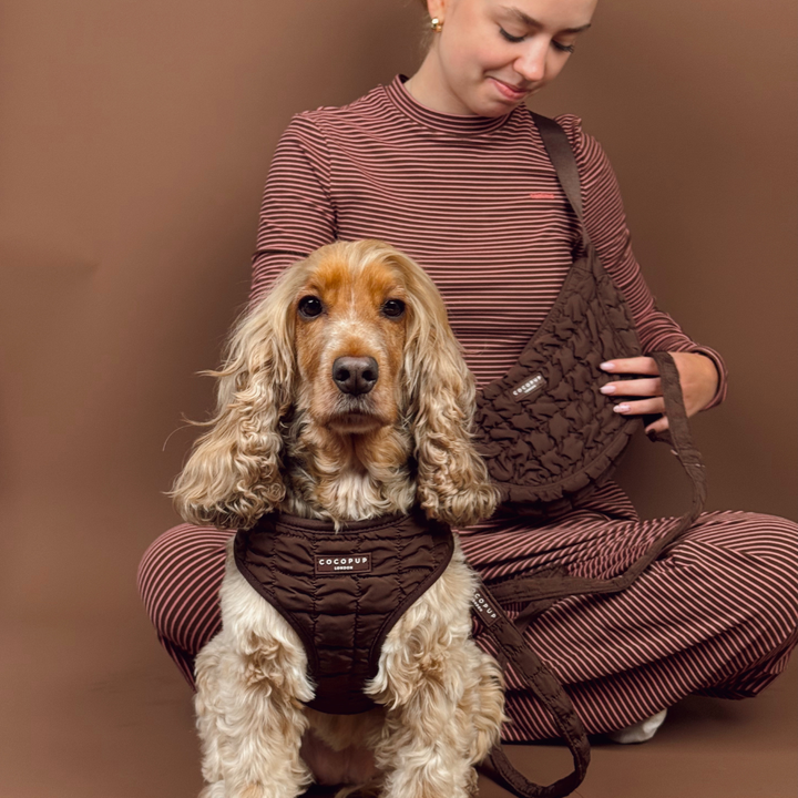 Espresso Quilted Adjustable Neck HARNESS