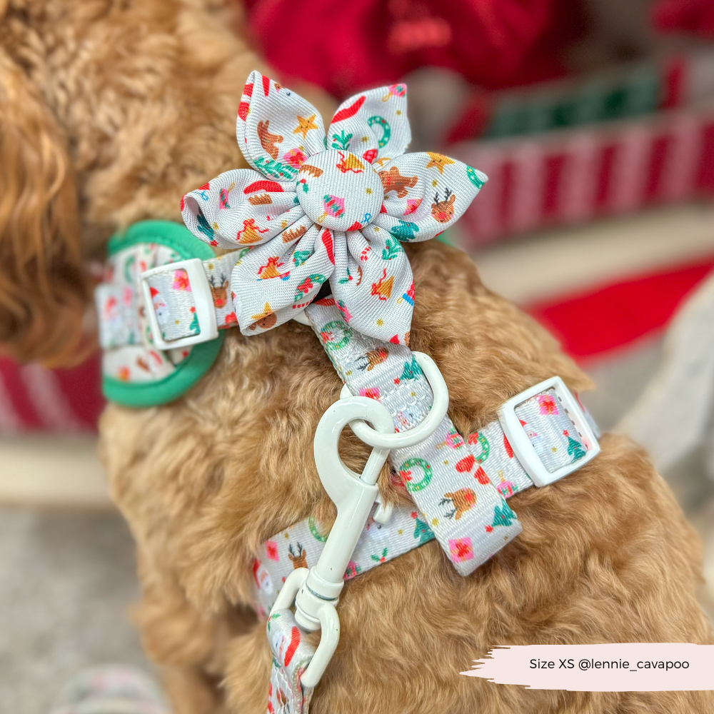 Christmas Pawty Collar Flower