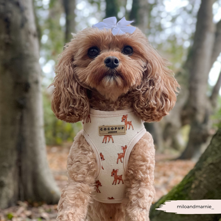 Fleecy Fawn Adjustable Neck HARNESS