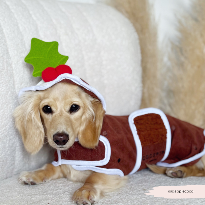 Christmas Pudding Drying Robe