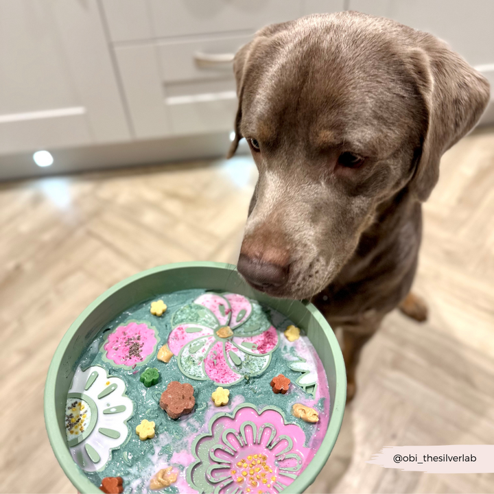 Silicone Slow Feed Dog Bowl - Sage Flowers