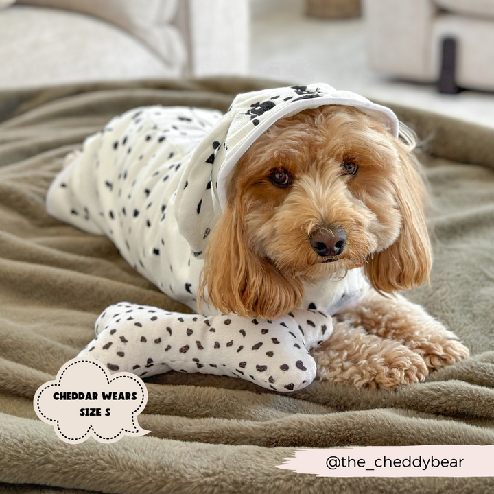 A fluffy dog dressed in a Cocopup London Dalmatian Drying Robe with black spots and a hood is lying on a plush green blanket. The dog's paws rest on a toy bone with a matching pattern. Text reads: "Cheddar wears size S" and "@the_cheddybear".