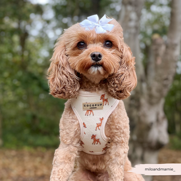 Fleecy Fawn Adjustable Neck HARNESS