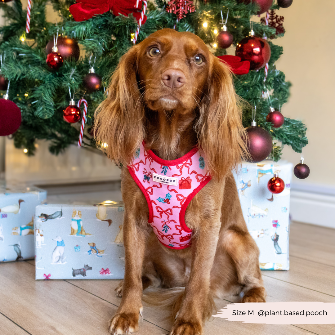 Pupmas Kisses Adjustable Neck Harness, Lead & Collar Bundle