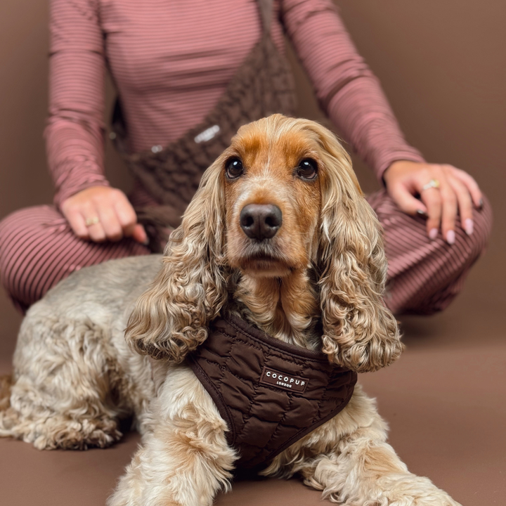 Espresso Quilted Adjustable Neck HARNESS