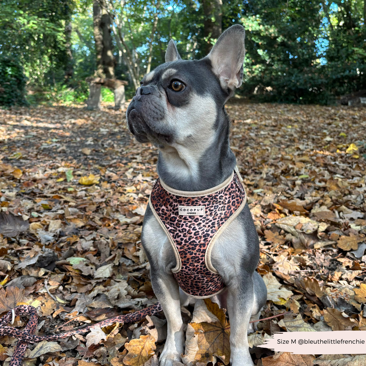 Quilted Leopard Pup Adjustable Neck Harness