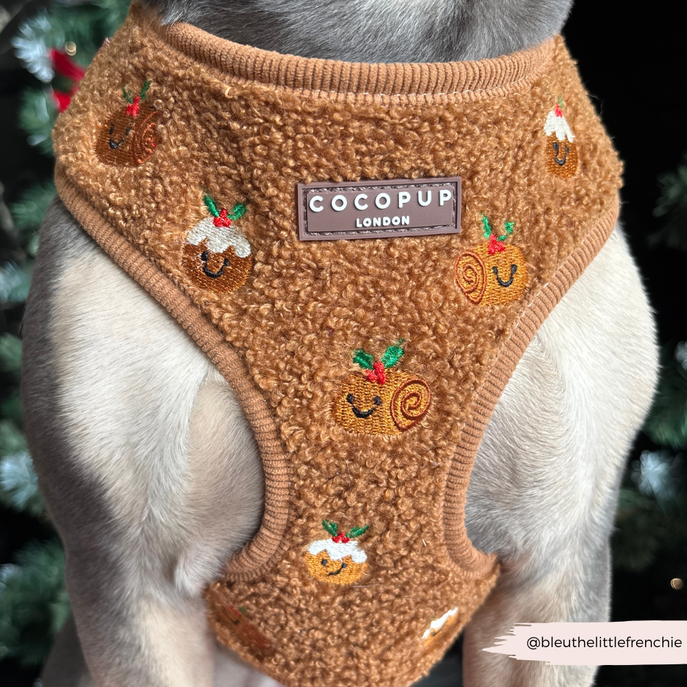 Festive Pudding Pup Adjustable Neck Harness, Lead & Collar Bundle