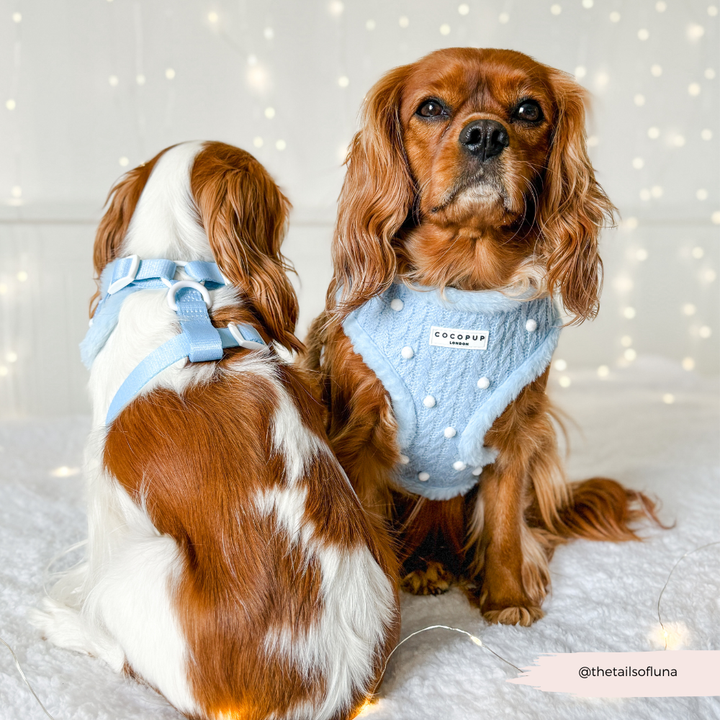 Snowpaws Adjustable Neck HARNESS