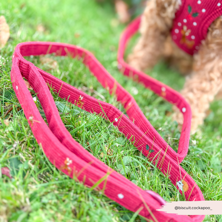 Holly Jolly Trails Adjustable Neck Harness, Lead & Collar Bundle