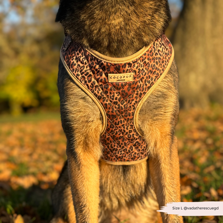 Quilted Leopard Pup Adjustable Neck Harness