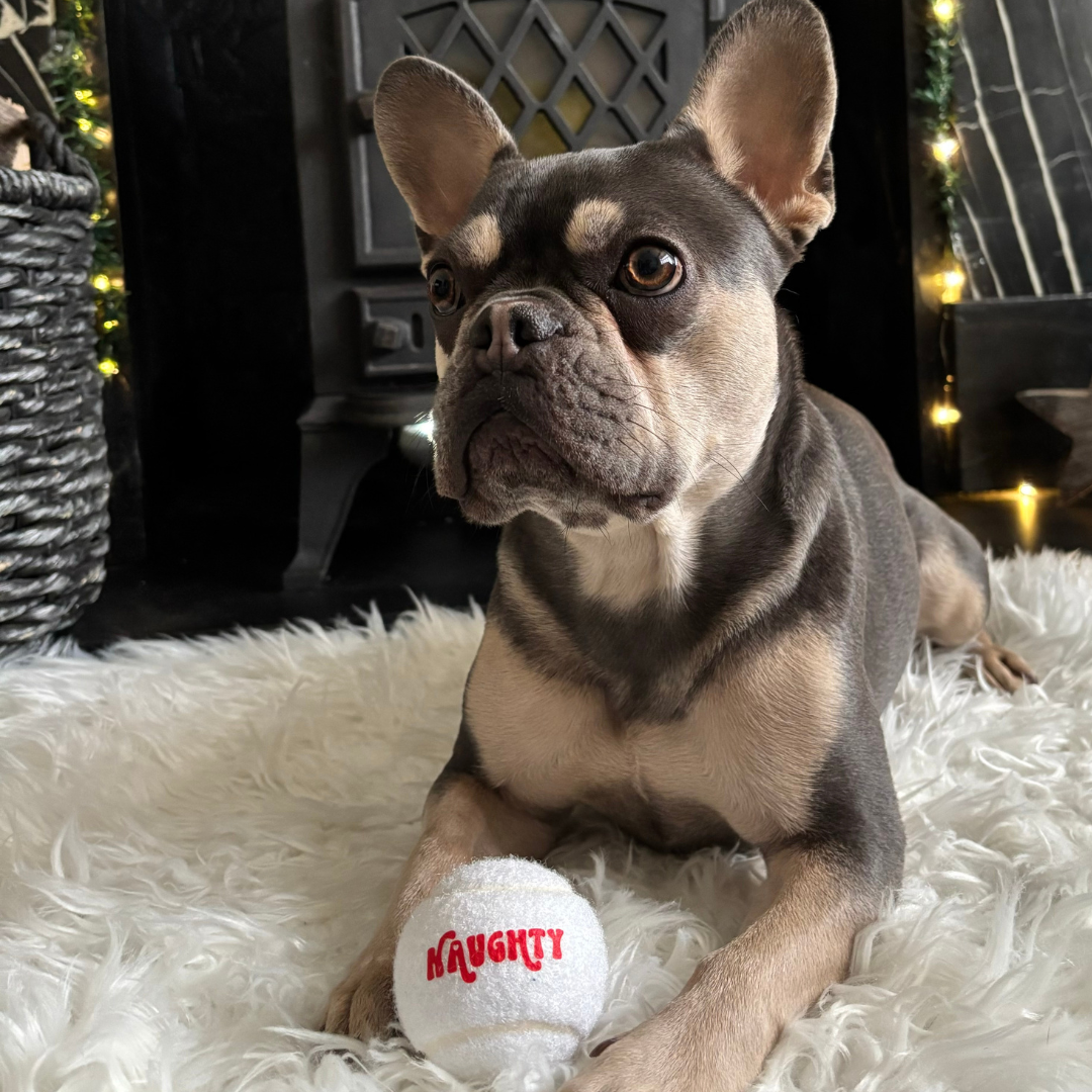 Limited Edition Christmas Tennis Ball - Naughty