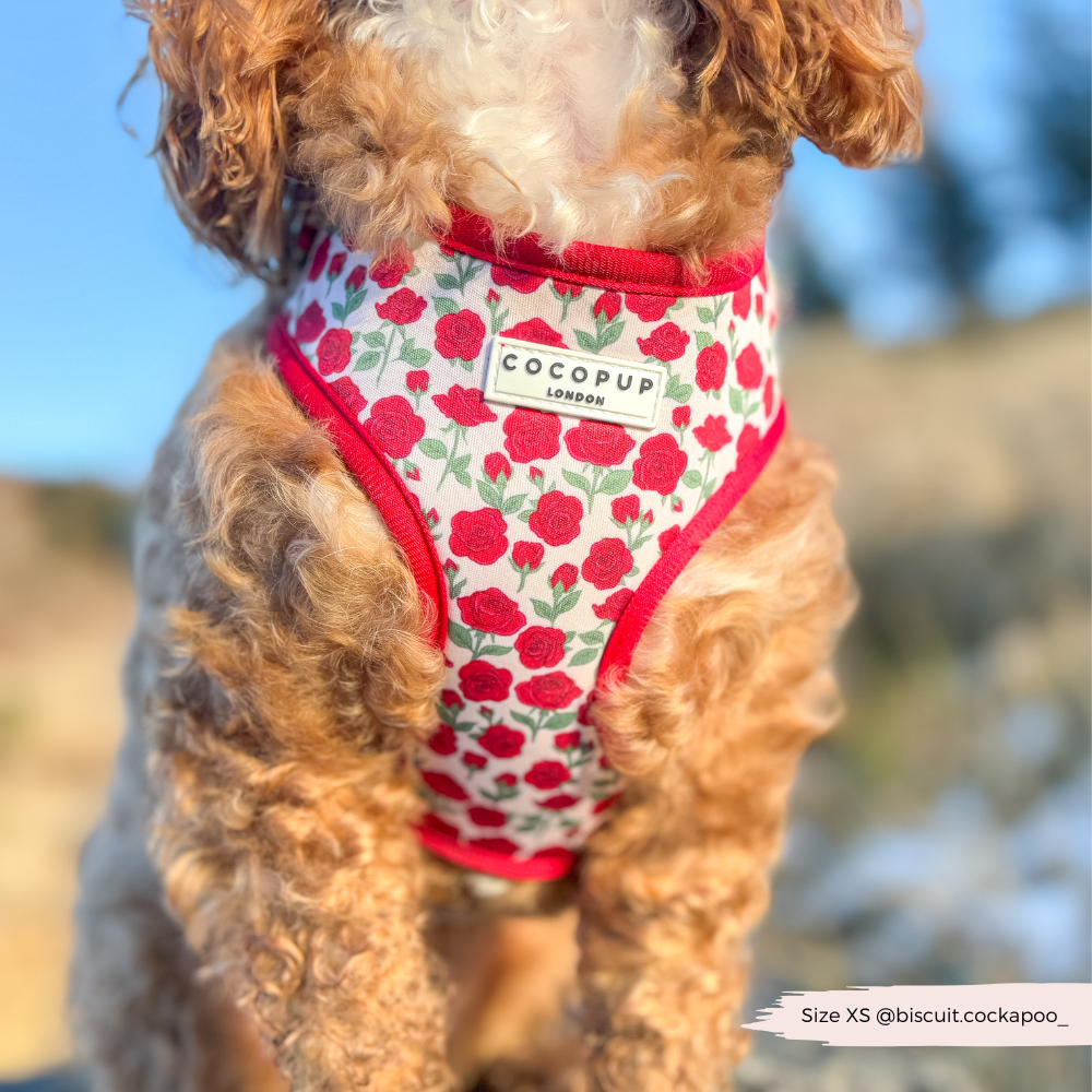 Barkquet of Roses Adjustable Neck Harness