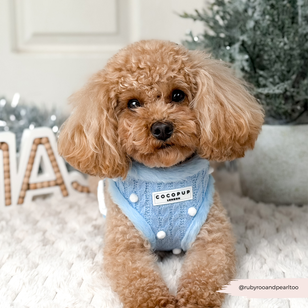 Snowpaws Adjustable Neck HARNESS