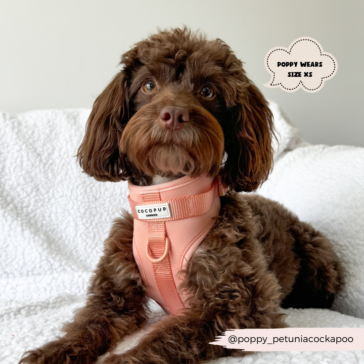 NAKD Adjustable Neck Harness - Peach Floof