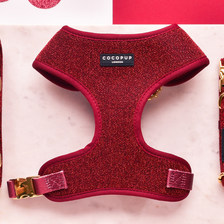 Limited Edition Burgundy Sparkle Pup Adjustable Neck Harness, Lead & Collar Bundle