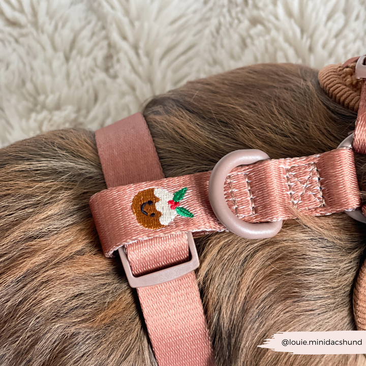 Festive Pudding Pup Adjustable Neck Harness, Lead & Collar Bundle