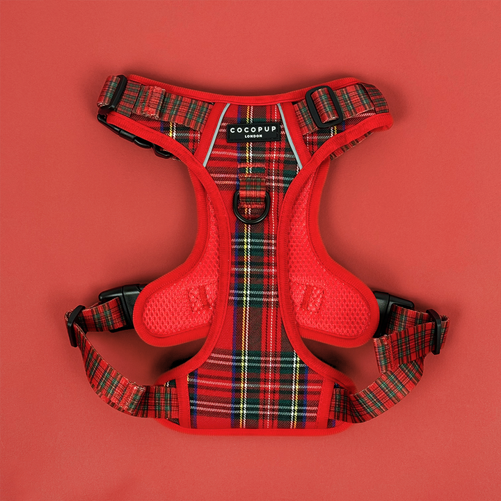 Explore Harness - Tartan