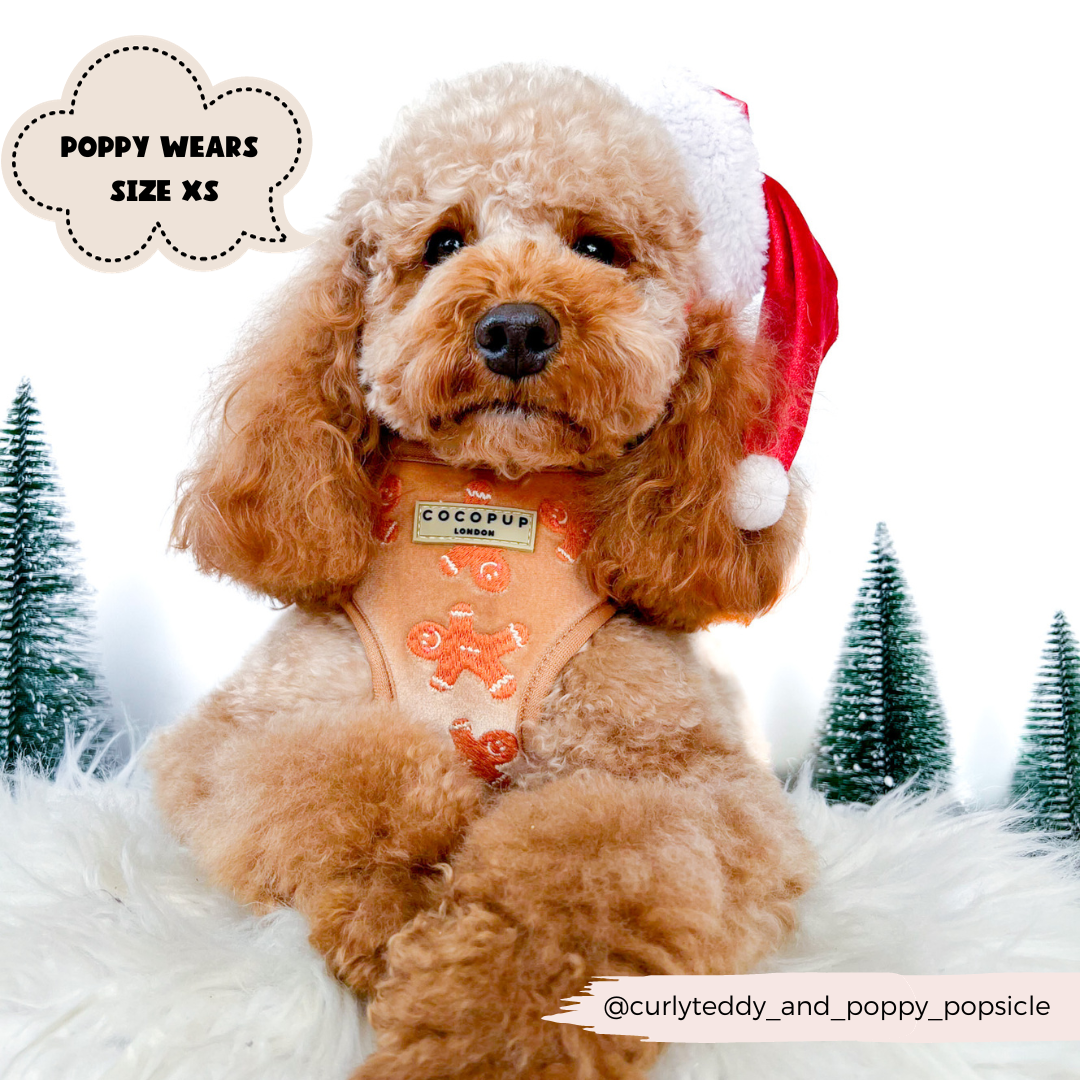 Luxe Velvet Adjustable Neck Harness - Gingerbread Treats