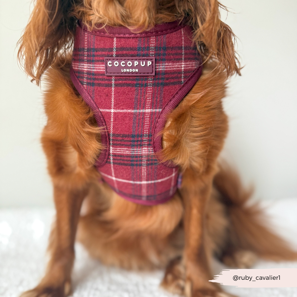 Mulberry Plaid Adjustable Neck HARNESS