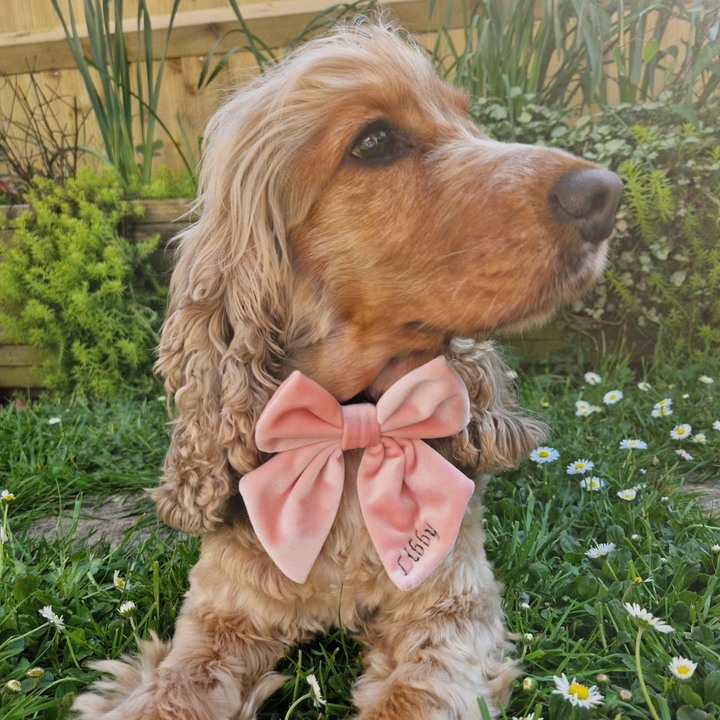 PERSONALISED Velvet Sailor Bow Tie - Baby Pink