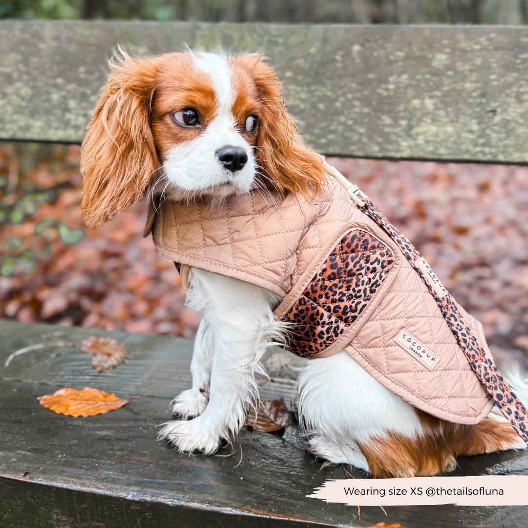 LUXE Quilted Dog Coat - Leopard Pup