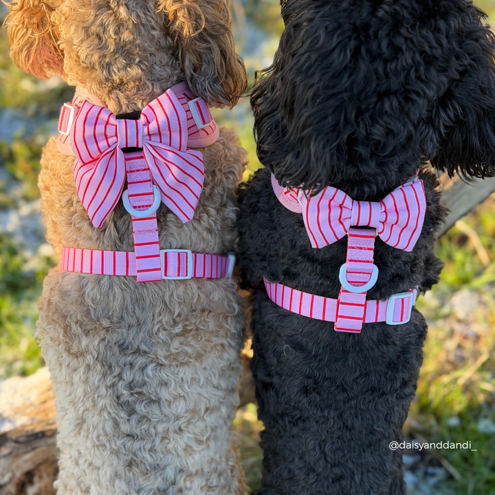 Candy Stripe Bow Tie