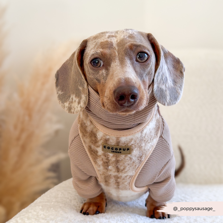 Highland Fleece Adjustable Neck Harness, Lead & Collar Bundle - Oatmeal