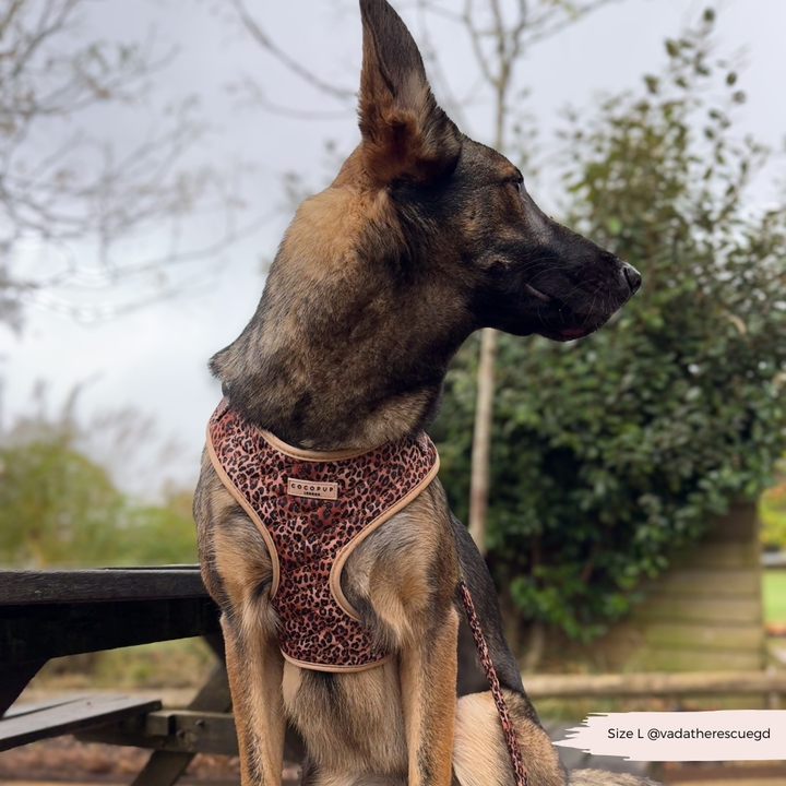 Quilted Leopard Pup Adjustable Neck Harness